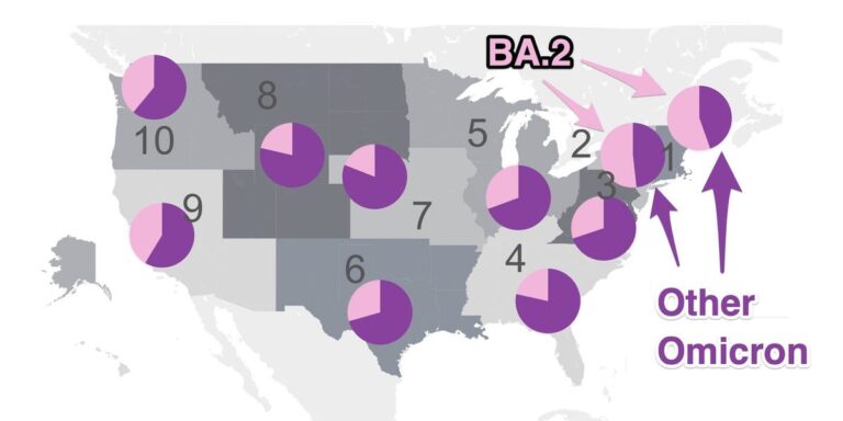 Ba.2 Omicron Dominant In Northeast Us, New Wave Possible