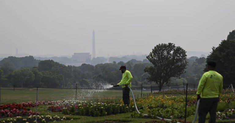 Wildfire Smoke Affects More Than Our Health—it Also Costs Workers