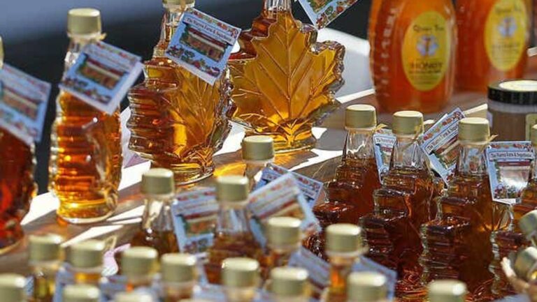 Climate Change Means Uncertain Future For Maples, Syrup Season