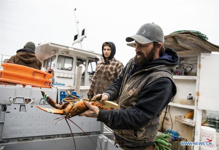 Spotlight: Us Lobster Industry Keen To Resume Trade With China