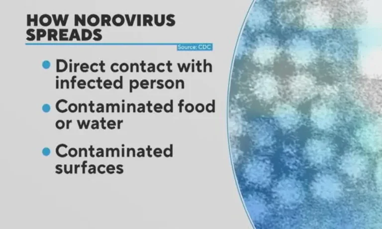 Norovirus Is Spreading Throughout The Us, With The Northeast Being