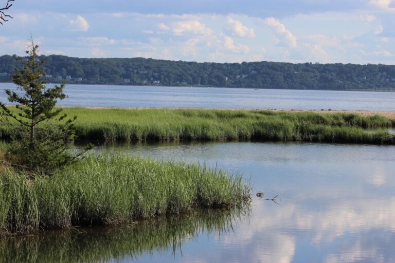 Study Assesses Vulnerability Of Coastal Habitats To Climate Change In