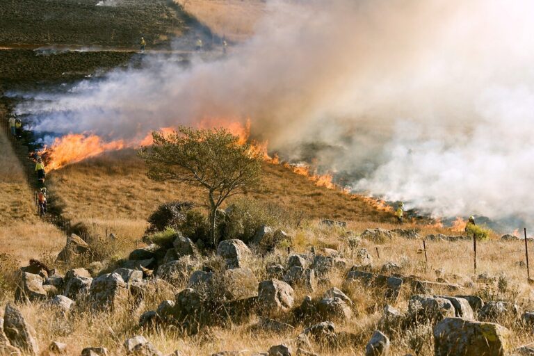 Wildfire Haze Causes Asthma, Heart And Other Health Concerns In